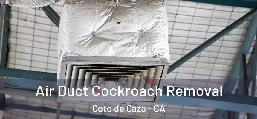  Air Duct Cockroach Removal Coto de Caza - CA