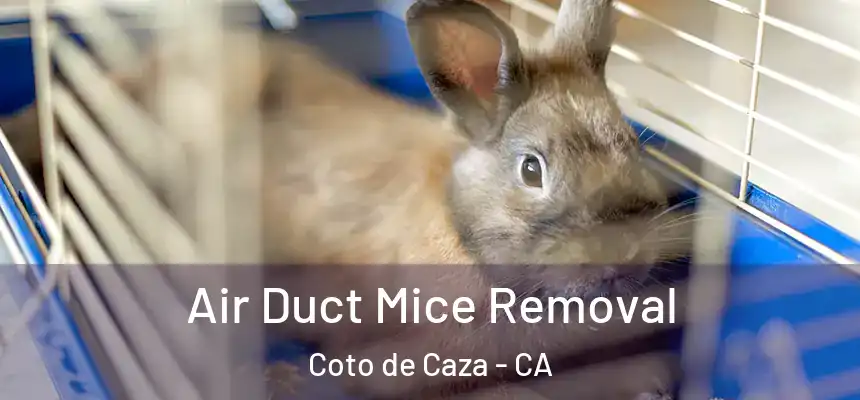  Air Duct Mice Removal Coto de Caza - CA