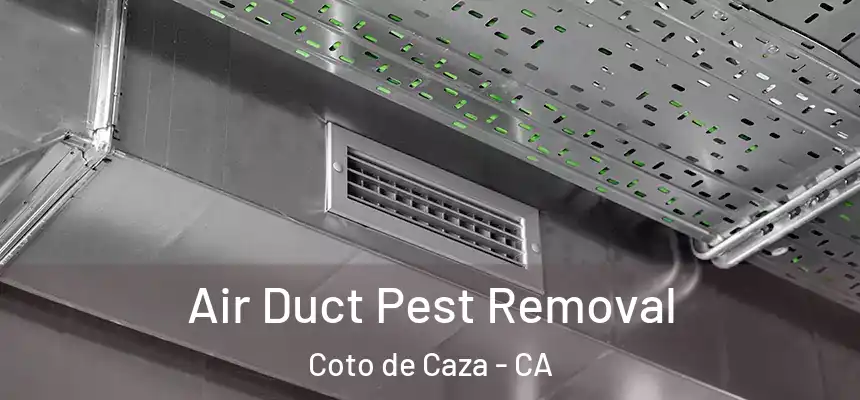  Air Duct Pest Removal Coto de Caza - CA