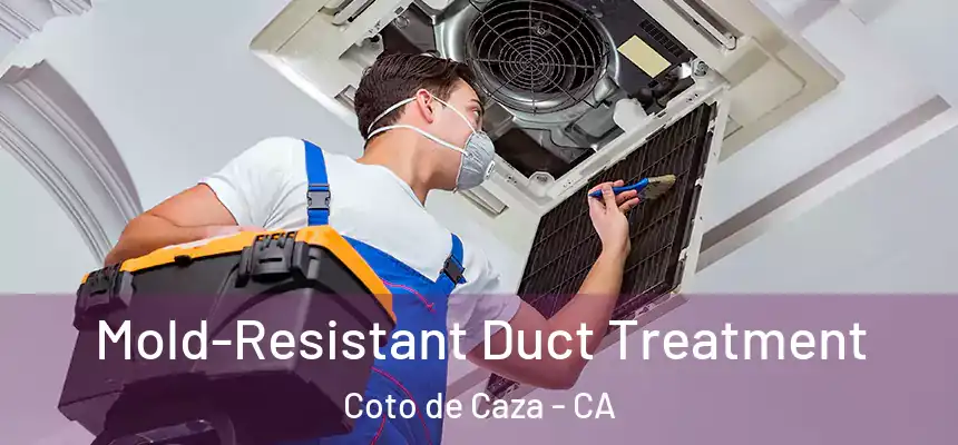  Mold-Resistant Duct Treatment Coto de Caza - CA