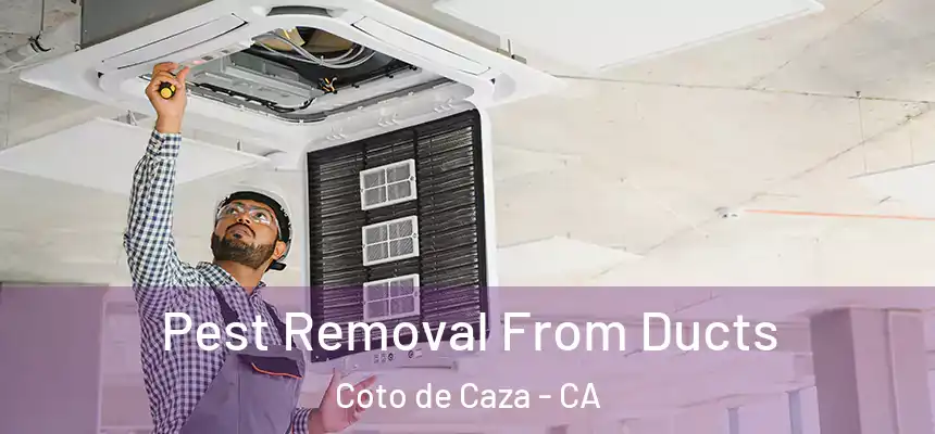  Pest Removal From Ducts Coto de Caza - CA