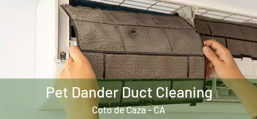  Pet Dander Duct Cleaning Coto de Caza - CA