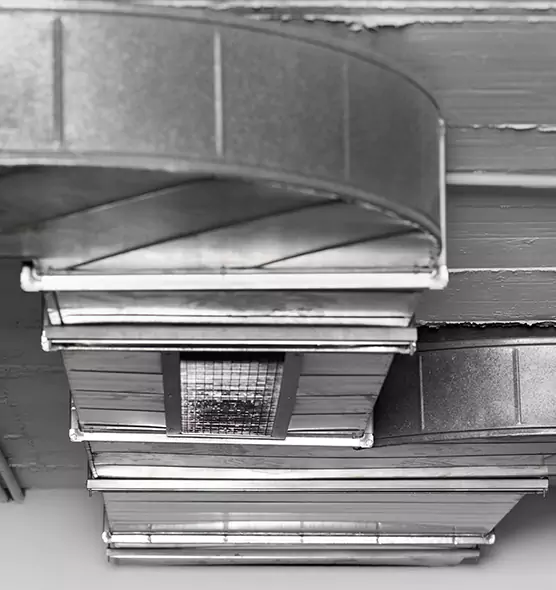 Professional Air Duct Pest Removal in Coto de Caza, CA