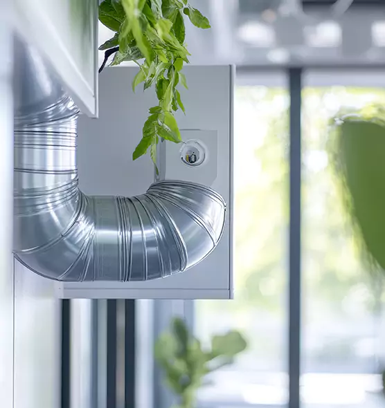 Professional Eco-Friendly Duct Cleaning Services in Coto de Caza, CA