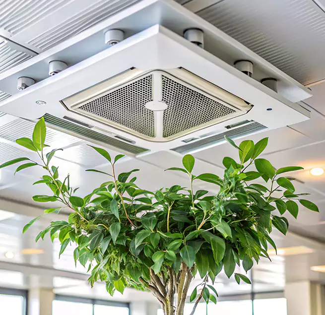 Why Homeowners & Businesses Trust Us in Coto de Caza, CA?