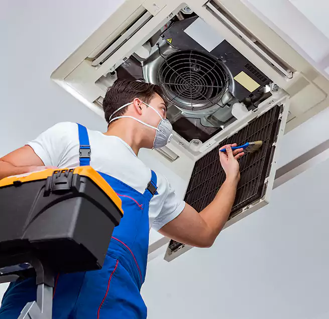 Why Homeowners & Businesses Trust Us in Coto de Caza, CA?