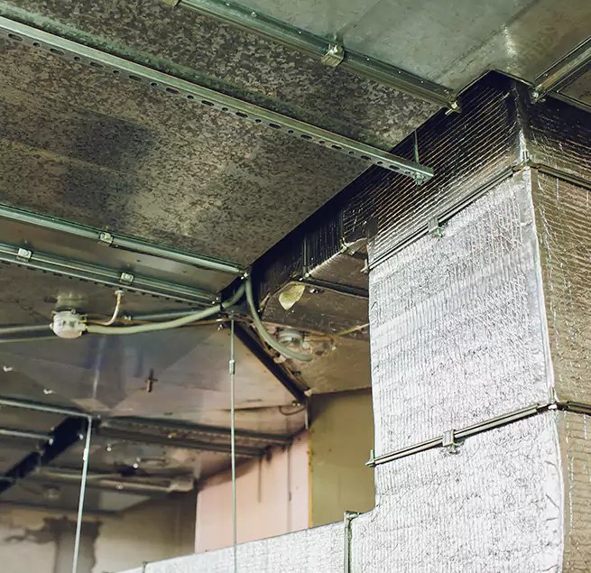 Why Homeowners & Businesses Trust Us in Coto de Caza, CA?